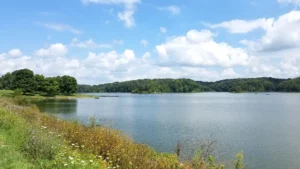 A.W. Marion State Park in Carroll, Ohio