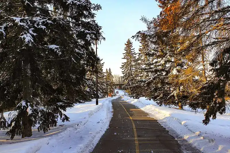 snowy parkland