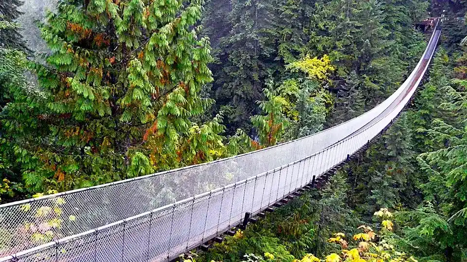 Capilano Suspension Bridge Park