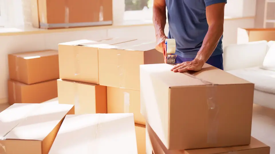 storage boxes 